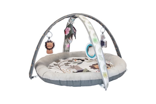 [B940000] 'Savannah' Musical & Light Play Gym  - HS95030041 - COO China