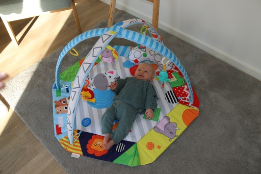 [B940010] 'Tropical Discovery' Foldable Ball Pit Play Gym  - HS95030041 - COO China