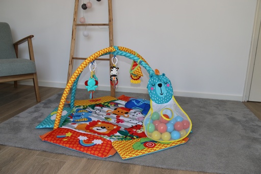 [B940100] 'Jungle Carnival' Foldable Ball Pit Play Gym  - HS95030041 - COO China