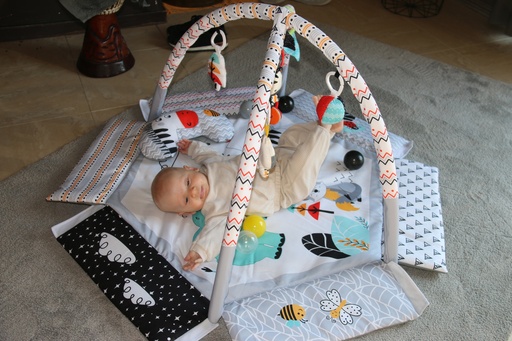 [B940110] 'Jungle By Night' Foldable Ball Pit Play Gym  - HS95030041 - COO China