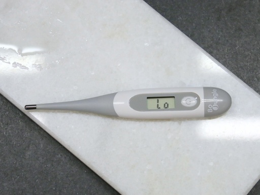 [B400400] Elektronisches Thermometer - HS90251900 - COO China