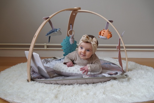 [B940200] Ocean Bliss Wooden Play Gym - HS95030041 - COO China